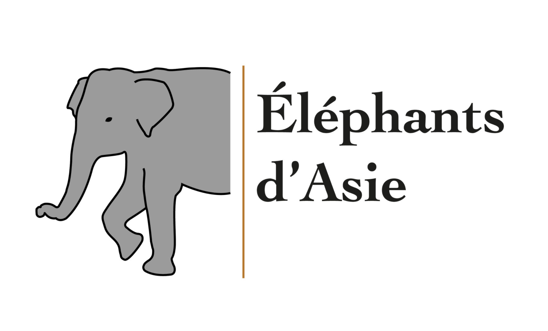 Sur les traces de l'éléphants d'Asie