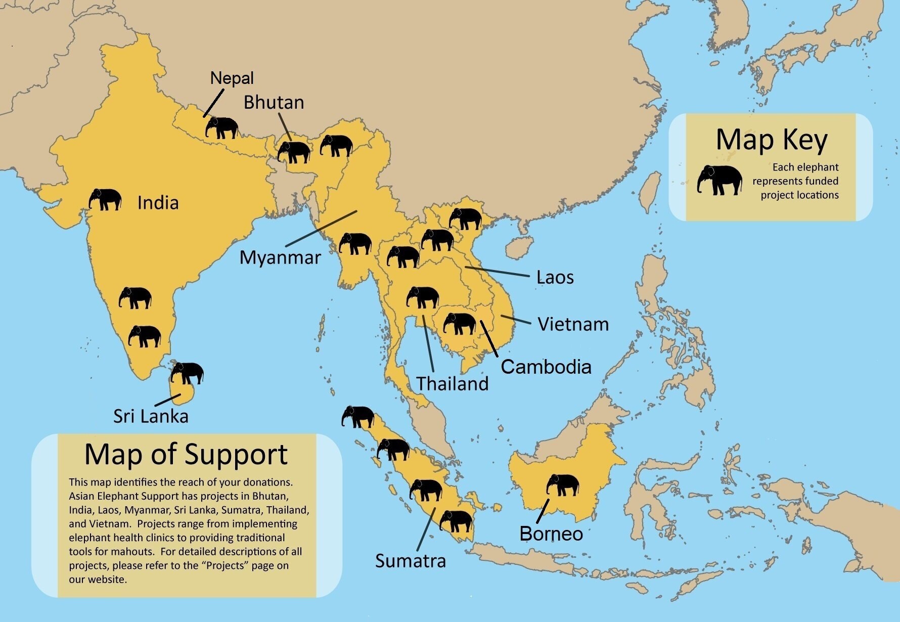 Présentation de l’éléphant d’Asie | Éléphants d’Asie